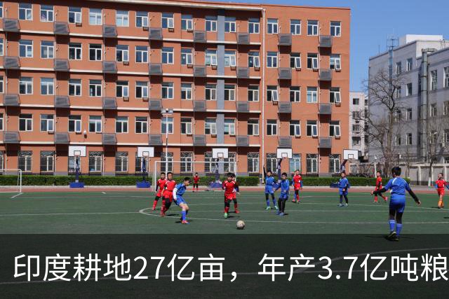 印度耕地27亿亩，年产3.7亿吨粮食，我国耕地19.18亿亩，年产多少
